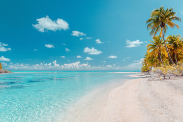 Fototapeta na wymiar Beach paradise travel vacation tropical getaway in Rangiroa atoll, Tuamotu islands, French Polynesia. Tahiti honeymoon destination with idyllic pristine ocean crystal clear turquoise water.
