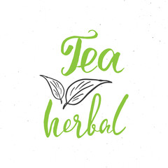 Herbal Tea lettering handwritten sign, Hand drawn grunge calligraphic text. Vector illustration