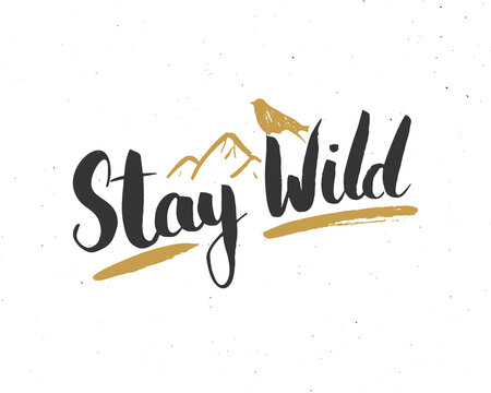 Stay wild lettering handwritten sign, Hand drawn grunge calligraphic text, outdoor hiking adventure and mountains exploring, Vector illustration