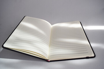 Libreta abierta en blanco