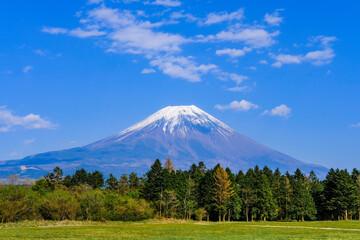 Fototapeta na wymiar 静岡県朝霧高原からの富士山