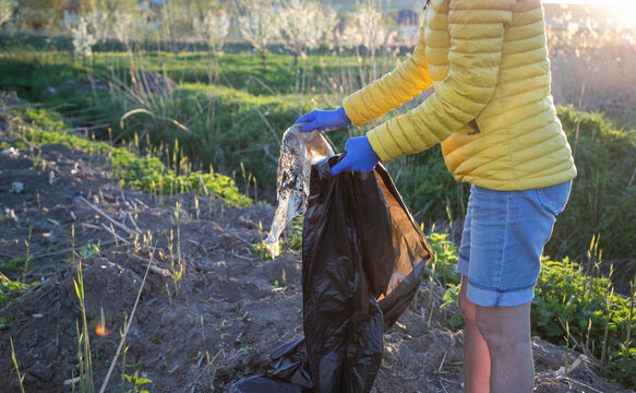 volunteer collecting plastic garbage Earth day