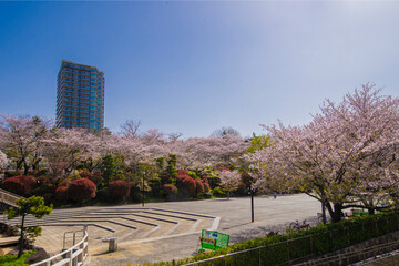 飛鳥山公園・王子
