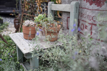 庭　ガーデニング　DIY　アンティーク調