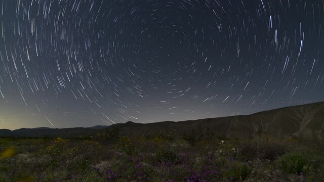Time lapse of star trails over wildflower super bloom at Anza Borrego desert in California
