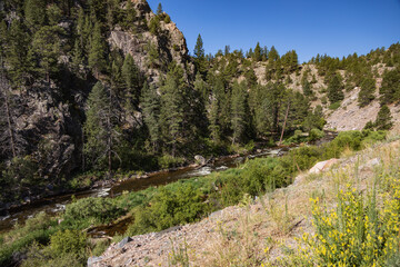Fototapeta na wymiar Big Thompson River and Canyon, Colorado 