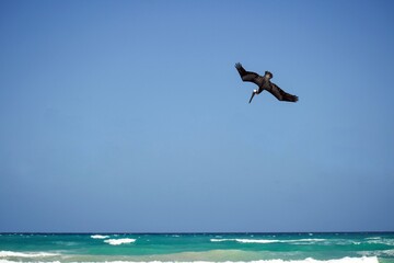 surfer on the beach