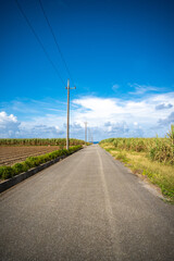 Fototapeta premium 波照間島