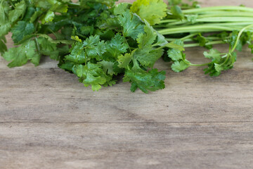 Green fresh coriander with roots on wooden table
