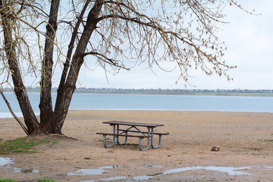 Empty picnic table by lake on a springtime rainy day with puddles on ground and new spring leaves on tree 