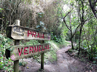 trail through the woods to red beach