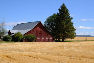 red barn in the field © Eli
