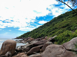 Beach with sand, rocks and green under a blue sky