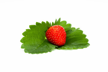 A strawberry on white background