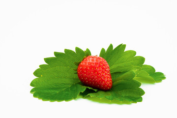 A strawberry on white background