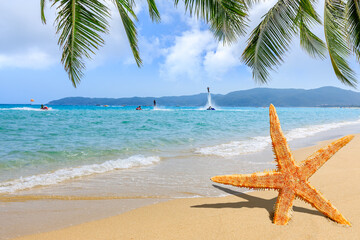 Fototapeta na wymiar Tropical beach with starfish on sand,summer holiday background.Travel and beach vacation.