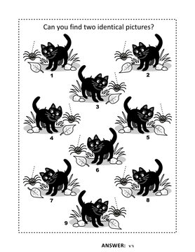 Halloween puzzle page with black cat: Can you find two identical pictures? Answer included.

