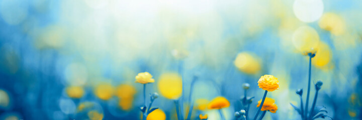 Sunny meadow with yellow flowers, spring blossom background - Powered by Adobe