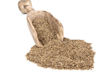 Cumin in a wooden spoon isolated on a white background. Caraway seeds