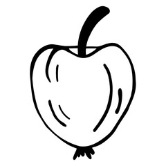 Vector apple icon. Isolated illustration of a fruit on a white background. Hand drawn black doodle, apple silhouette