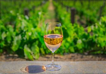 Glass of sparkling rose wine with a blurred view of grape vines in background at a vineyard in the spring in Napa Valley, California, USA