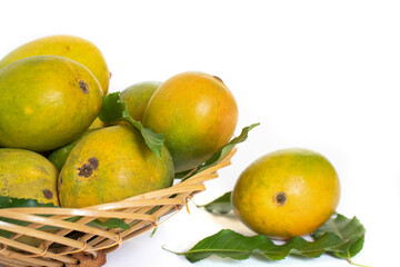 indian mangos in a basket on a white background in close up view