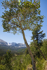 Rocky Mountains National Park, Colorado
