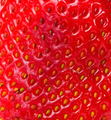 Macro photo of the surface of a strawberry. Dent spoiled