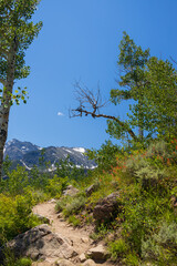 Obraz premium Bierstadt Lake Trail with blue sky and mountains in background in Rocky Mountain National Park, Colorado