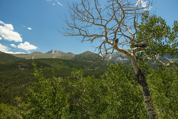 Rocky Mountains National Park, Colorado
