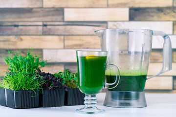 Microgreen juice on the kitchen table. Micro greens in a blender. Make a microgreen smoothie at home. Healthy and organic food