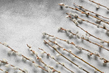 Willow branches on grunge background