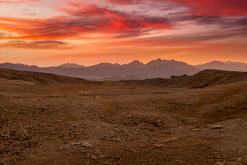 Fototapeta na wymiar Beautiful sunset in the Sinai desert, Egypt.