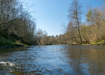 the banks of a small wild river in spring, bare trees, reflections in the water, a small wild river, Abuls river in Latvia