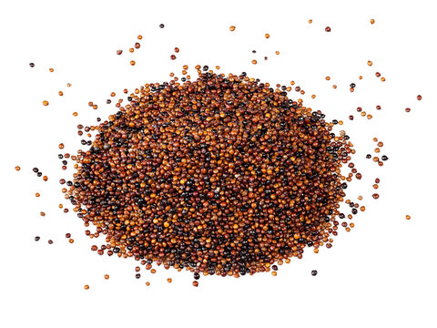 pile of canihua seeds closeup on white