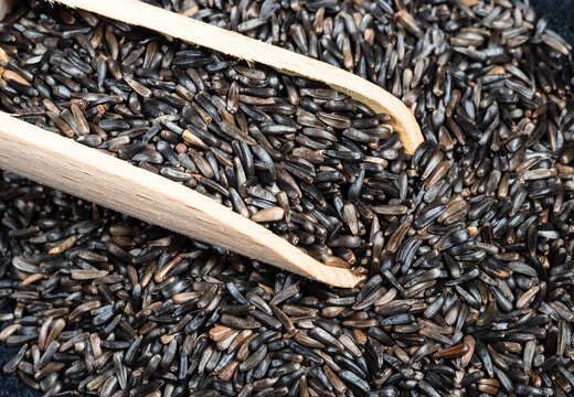 wooden scoop on pile of niger seeds closeup