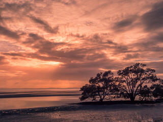 Fototapeta na wymiar Beautiful Seaside Sunrise with Cloud Reflections and Mangroves