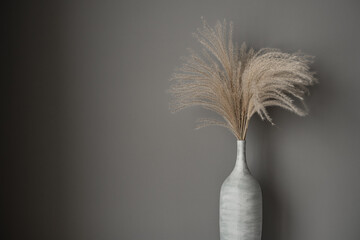 Tan reeds, pampas grass bouquet in clay pot on grey background. Minimal modern interior decoration concept. Floral composition on neutral grey background.