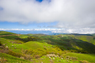 Fototapeta premium Mountain landscape in Georgia. Landscape from Didgori road.