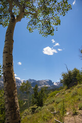 Fototapeta premium Rocky Mountains National Park, Colorado