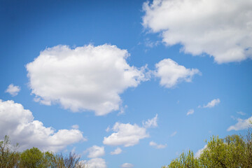 Spring is a beautiful natural background. Green leaves in the blue sky.