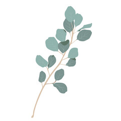 Eucalyptus leaves vector stock illustration. Delicate tropical leaves for the bride's bouquet. A branch of mint-colored flowers. Spring or summer flowers for invitation, wedding or greeting cards.