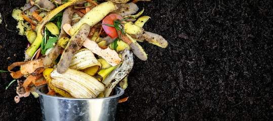 organic garden fertilizer. biodegradable kitchen waste. composting food leftovers. banner