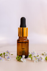 front view of Natural essential oil, serum glass drop bottle on a marble background wit wild flowers. Alternative medicine, aromatic herbal beauty skin care product.