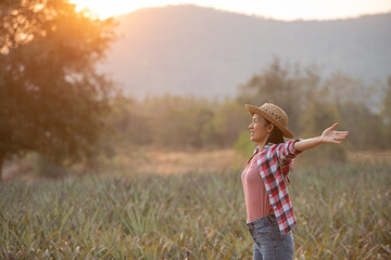 Asian female farmer see growth of pineapple in farm, Young pretty farmer woman standing on farmland with arms raised up joyful elated happiness. Organic farmer checking, agriculture business concept