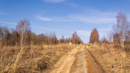 Obraz premium muddy forest road