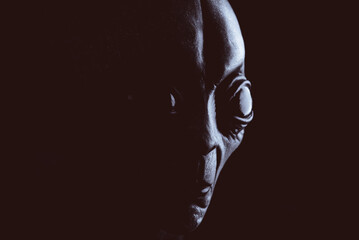 Alien creature has a message for humans. Grey kind humanoid from an other planet portrait series.