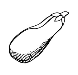 eggplant,  drawn with a pen, black outline with hatching