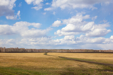 Obraz premium Ural spring landscape. Fields, birch and pine groves in early spring in the Urals, Russia.