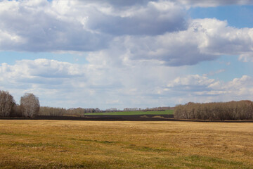 Obraz premium Ural spring landscape. Fields, birch and pine groves in early spring in the Urals, Russia.